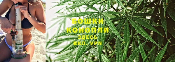 бошки Алзамай