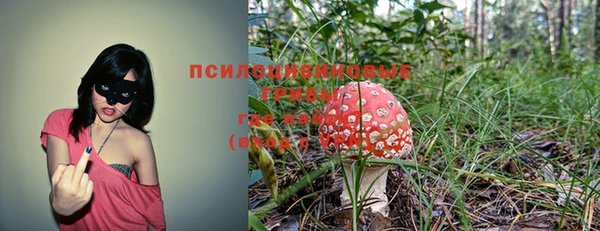 гашик Алексеевка